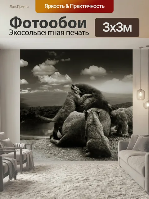 Фотообои Лев, большие кошки, черно-белый