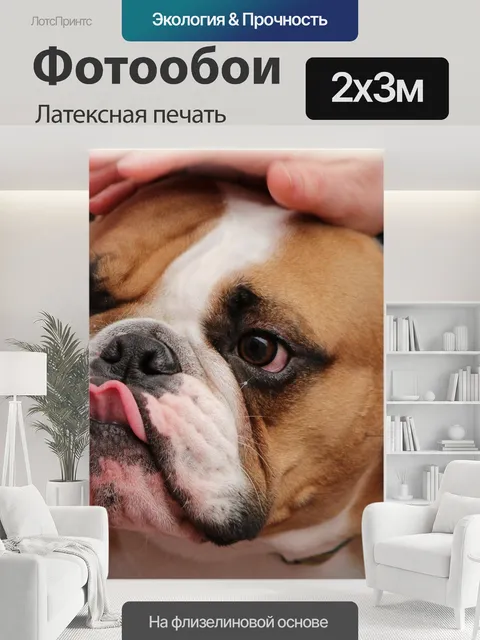 200 × 300 см · Латексная печать