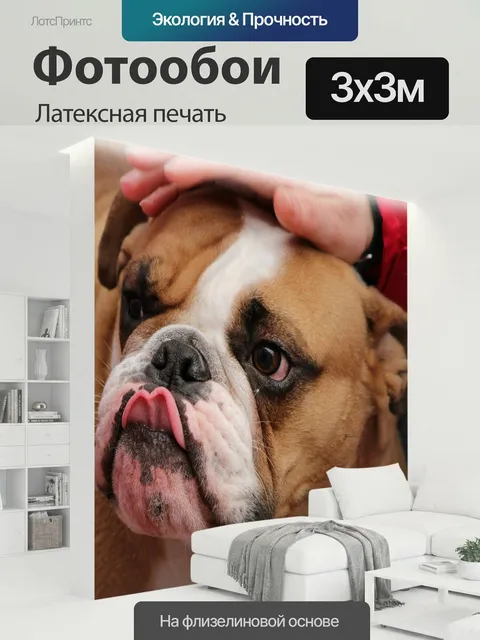 300 × 300 см · Латексная печать