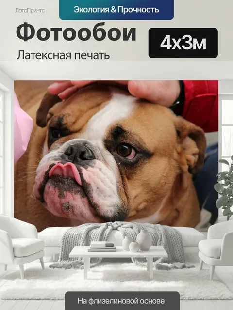 400 × 300 см · Латексная печать