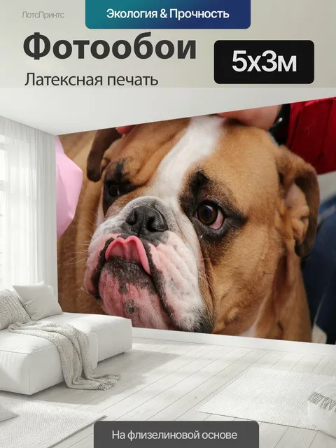 500 × 300 см · Латексная печать