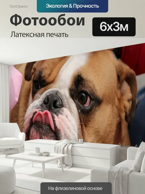 600 × 300 см · Латексная печать