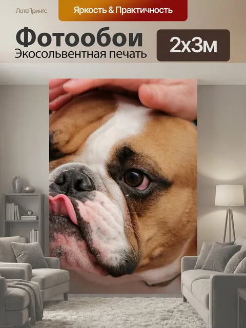 200 × 300 см · Экосольвентная печать