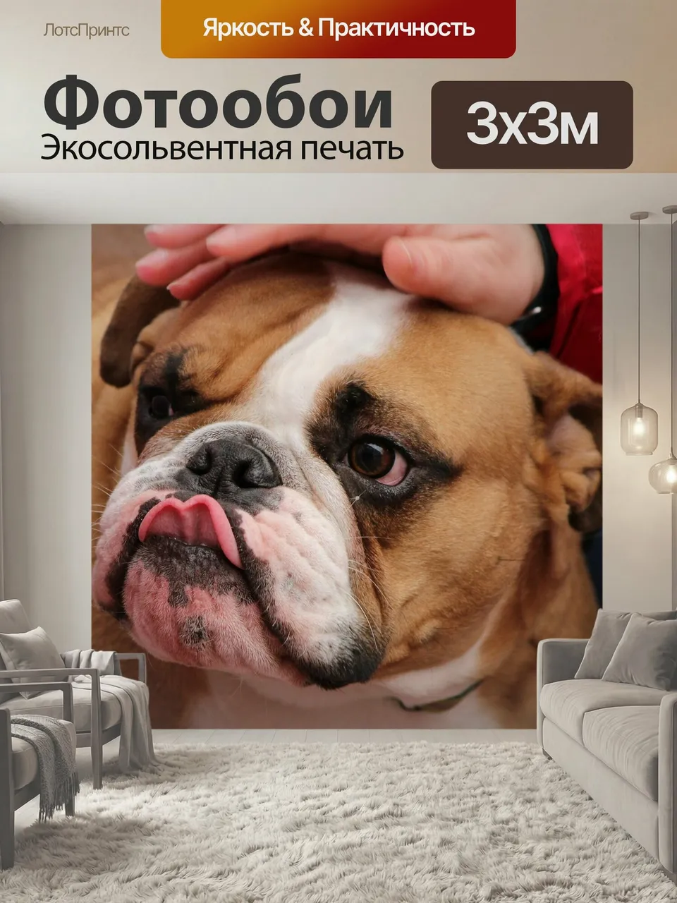 Фотообои Бульдог, собачий, собака