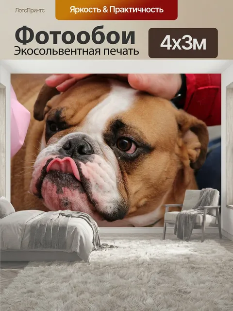 400 × 300 см · Экосольвентная печать