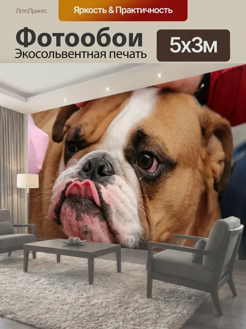 500 × 300 см · Экосольвентная печать