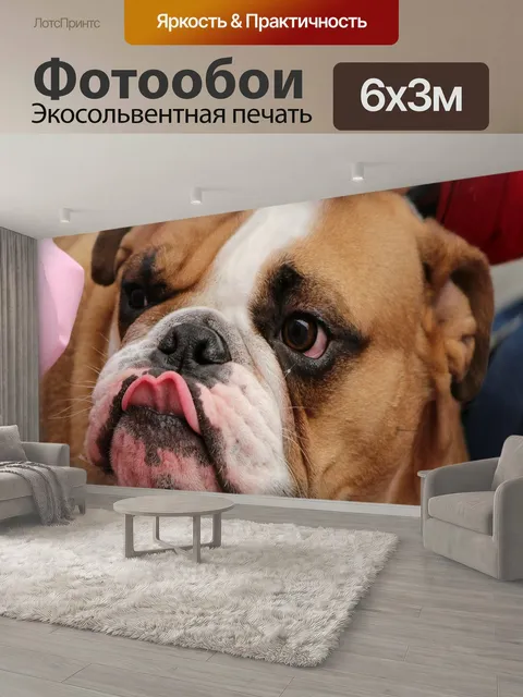 600 × 300 см · Экосольвентная печать