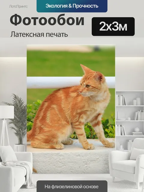 200 × 300 см · Латексная печать