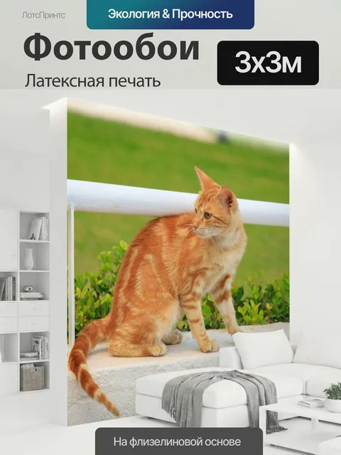 300 × 300 см · Латексная печать