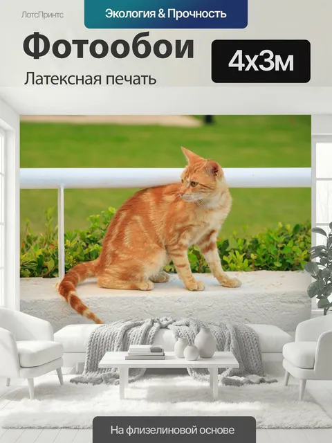 400 × 300 см · Латексная печать