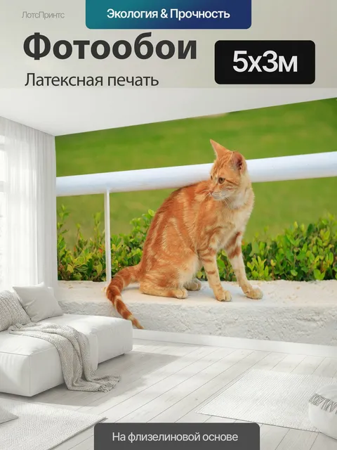 500 × 300 см · Латексная печать