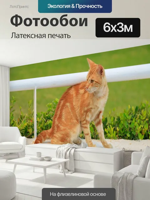 600 × 300 см · Латексная печать