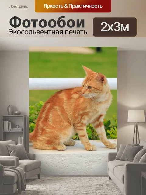 200 × 300 см · Экосольвентная печать