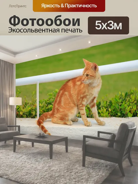 500 × 300 см · Экосольвентная печать