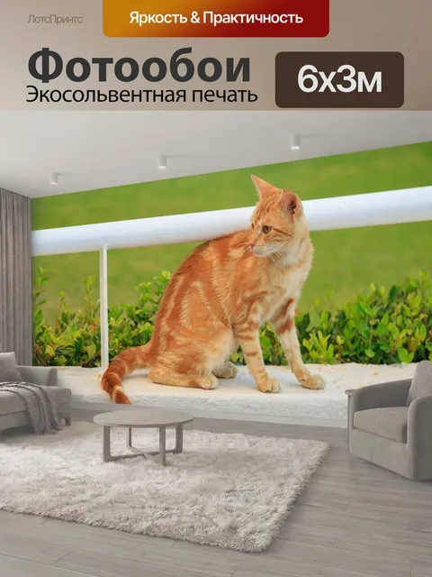 600 × 300 см · Экосольвентная печать