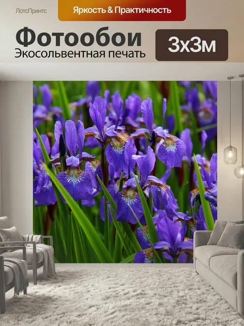 Фотообои Ирис, цветок, цветочный