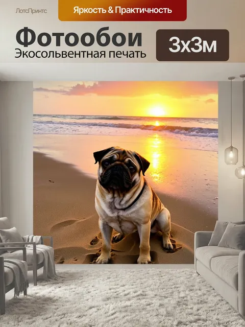 Фотообои Мопс, любующийся закатом на пляже, мягкие волны и теплый песок, романтическое настроение