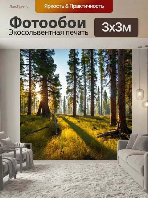 Фотообои Россия леса — величественные просторы тайги, где огромные ели, сосны и лиственницы простираются к горизонту, …
