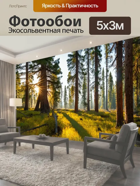 Фотообои Россия леса — величественные просторы тайги