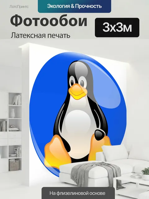 300 × 300 см · Латексная печать