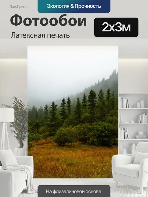 200 × 300 см · Латексная печать