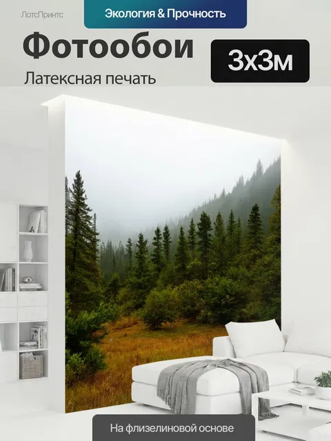 300 × 300 см · Латексная печать