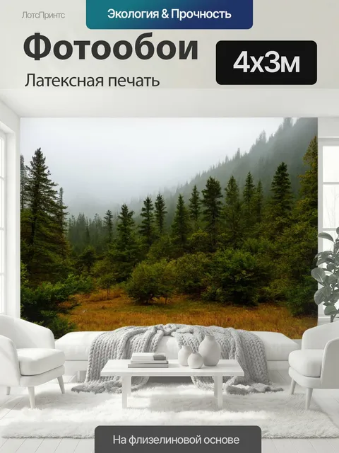 400 × 300 см · Латексная печать