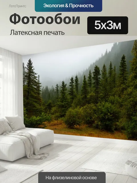500 × 300 см · Латексная печать