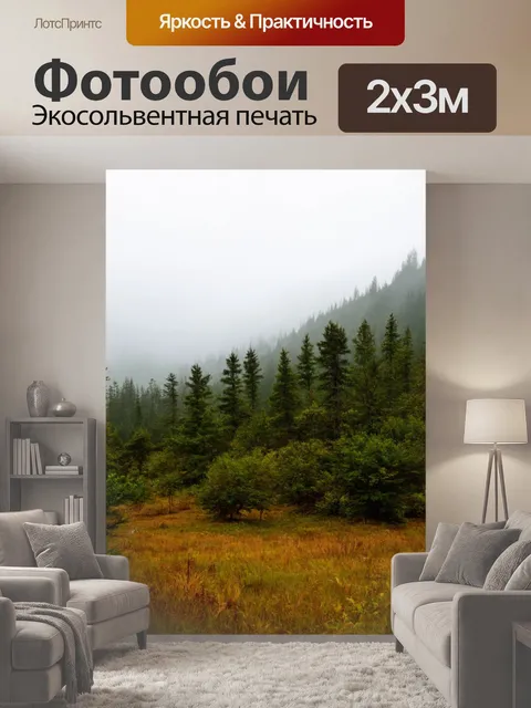 200 × 300 см · Экосольвентная печать
