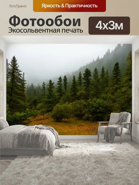 400 × 300 см · Экосольвентная печать