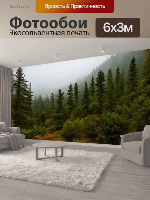 600 × 300 см · Экосольвентная печать