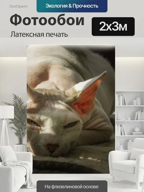 200 × 300 см · Латексная печать