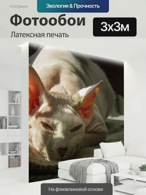300 × 300 см · Латексная печать