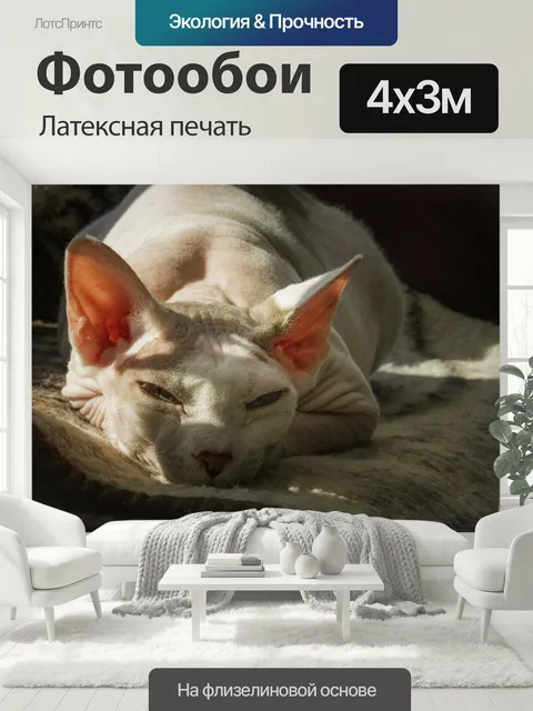 400 × 300 см · Латексная печать