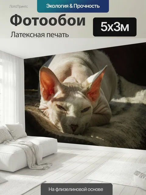 500 × 300 см · Латексная печать