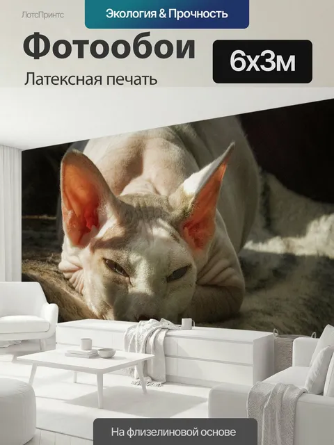 600 × 300 см · Латексная печать