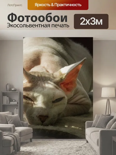 200 × 300 см · Экосольвентная печать