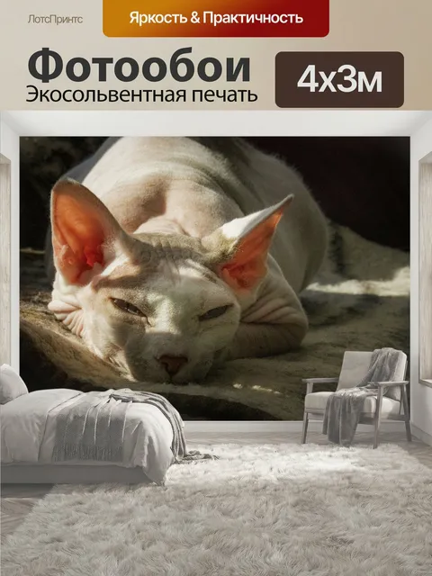 400 × 300 см · Экосольвентная печать
