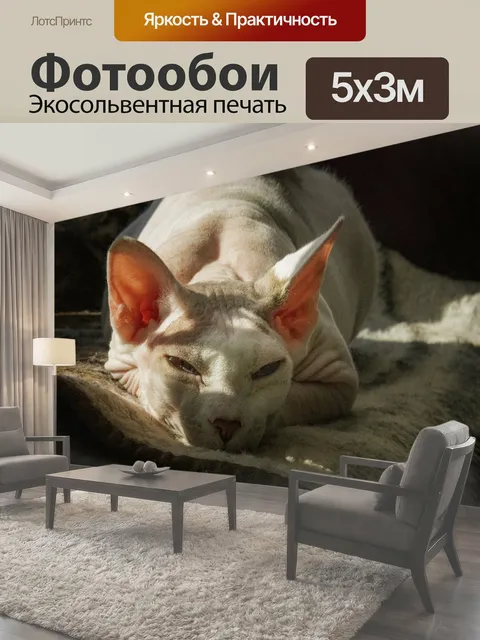 500 × 300 см · Экосольвентная печать