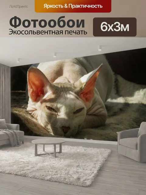 600 × 300 см · Экосольвентная печать