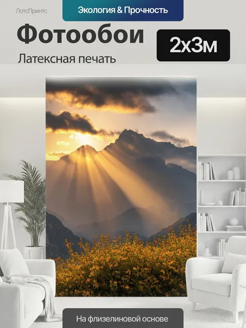 200 × 300 см · Латексная печать