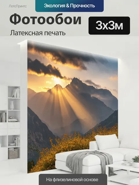 300 × 300 см · Латексная печать