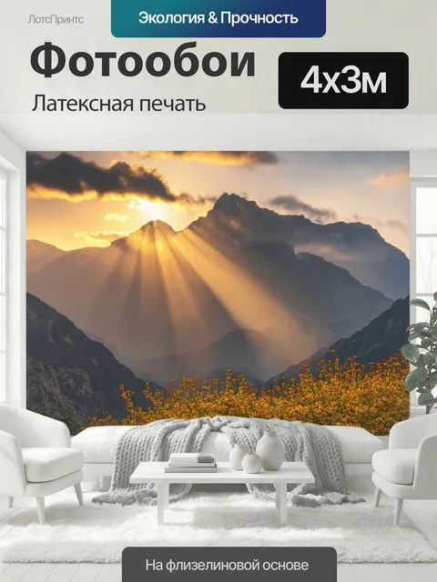 400 × 300 см · Латексная печать