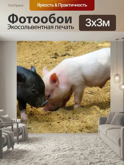 Фотообои Животное, свинья, поросенок