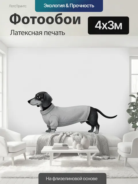 400 × 300 см · Латексная печать