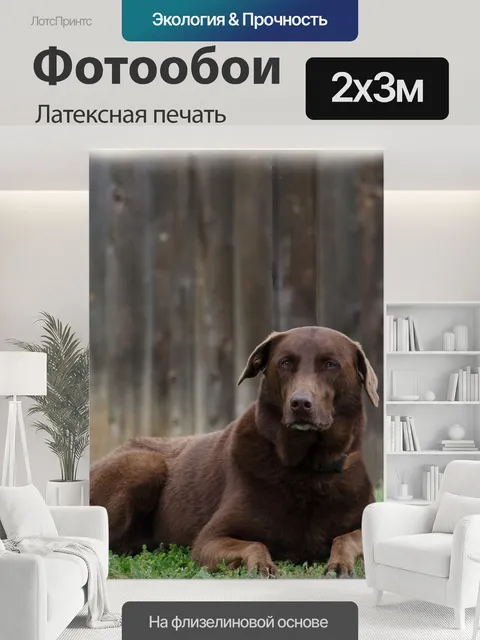 200 × 300 см · Латексная печать