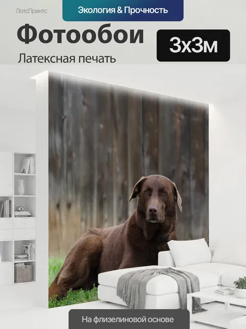 300 × 300 см · Латексная печать