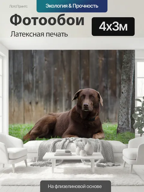 400 × 300 см · Латексная печать