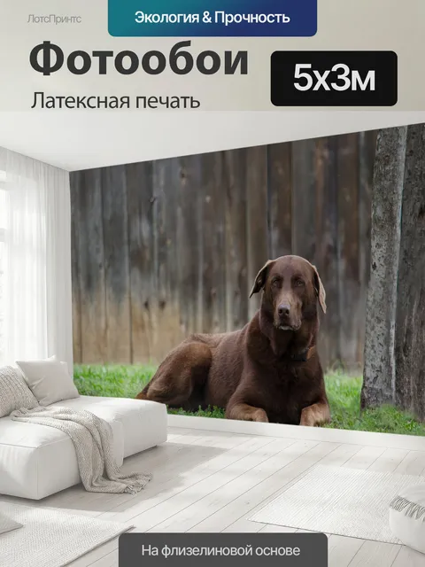 500 × 300 см · Латексная печать