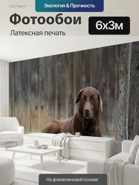 600 × 300 см · Латексная печать